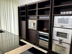 White House Park (D10), Condominium #470441181